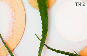 Ingredients That Help Fight Breakouts